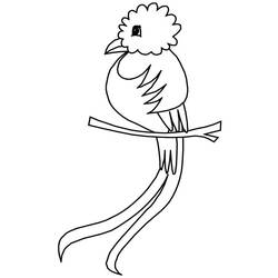 Coloring pages: Quetzal - Free Printable Coloring Pages