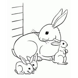 Rabbit (Animals) coloring page #177178 to print and color