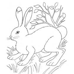 Rabbit (Animals) coloring page #177197 to print and color