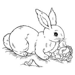 Rabbit (Animals) coloring page #177202 to print and color