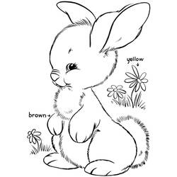 Rabbit (Animals) coloring page #177204 to print and color
