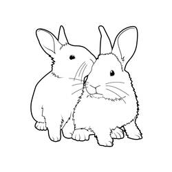 Coloring page: Rabbit (Animals) #9503 - Printable coloring pages