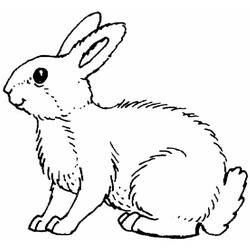 Coloring page: Rabbit (Animals) #9504 - Free Printable Coloring Pages