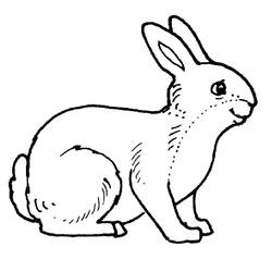 Coloring page: Rabbit (Animals) #9506 - Printable coloring pages