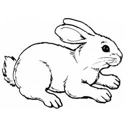 Coloring page: Rabbit (Animals) #9507 - Printable coloring pages