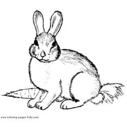 Coloring page: Rabbit (Animals) #9519 - Free Printable Coloring Pages