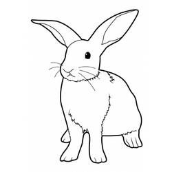 Coloring page: Rabbit (Animals) #9520 - Free Printable Coloring Pages