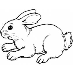 Coloring page: Rabbit (Animals) #9526 - Printable coloring pages