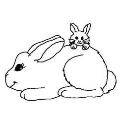 Coloring page: Rabbit (Animals) #9532 - Free Printable Coloring Pages