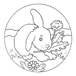 Coloring page: Rabbit (Animals) #9536 - Free Printable Coloring Pages