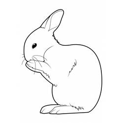 Coloring page: Rabbit (Animals) #9554 - Printable coloring pages