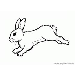 Coloring page: Rabbit (Animals) #9560 - Free Printable Coloring Pages
