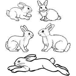 Coloring page: Rabbit (Animals) #9562 - Free Printable Coloring Pages