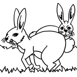 Coloring page: Rabbit (Animals) #9580 - Free Printable Coloring Pages