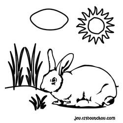 Coloring page: Rabbit (Animals) #9584 - Free Printable Coloring Pages