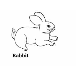 Coloring page: Rabbit (Animals) #9587 - Printable coloring pages