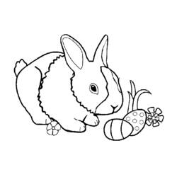 Coloring page: Rabbit (Animals) #9591 - Free Printable Coloring Pages