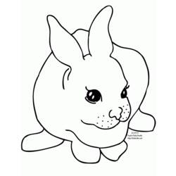 Coloring page: Rabbit (Animals) #9603 - Free Printable Coloring Pages