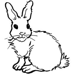 Coloring page: Rabbit (Animals) #9625 - Free Printable Coloring Pages