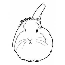 Coloring page: Rabbit (Animals) #9641 - Free Printable Coloring Pages