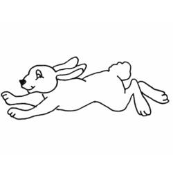 Coloring page: Rabbit (Animals) #9677 - Free Printable Coloring Pages