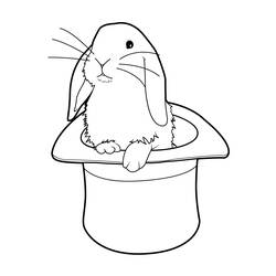 Coloring page: Rabbit (Animals) #9685 - Printable coloring pages