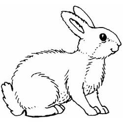 Coloring page: Rabbit (Animals) #9689 - Printable coloring pages