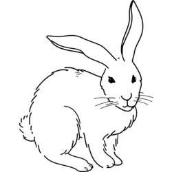Coloring page: Rabbit (Animals) #9694 - Free Printable Coloring Pages