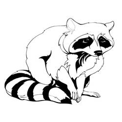 Coloring pages: Raccoon - Free Printable Coloring Pages