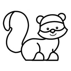 Coloring pages: Raccoon - Printable coloring pages