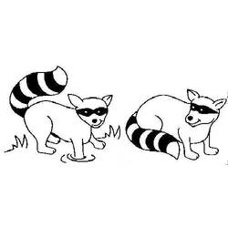 Coloring page: Raccoon (Animals) #20054 - Printable coloring pages