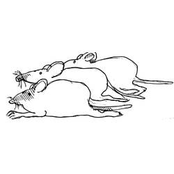 Coloring page: Rat (Animals) #15168 - Printable coloring pages