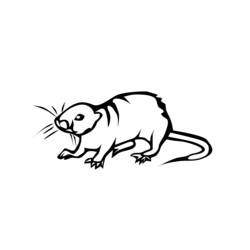 Coloring page: Rat (Animals) #15200 - Printable coloring pages