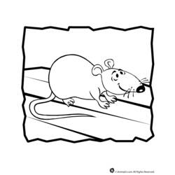 Coloring page: Rat (Animals) #15202 - Printable coloring pages