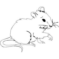 Coloring page: Rat (Animals) #15249 - Printable coloring pages