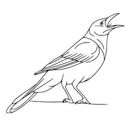 Raven (Animals) coloring page #208992 to print and color