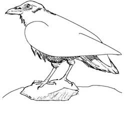 Raven (Animals) coloring page #209003 to print and color