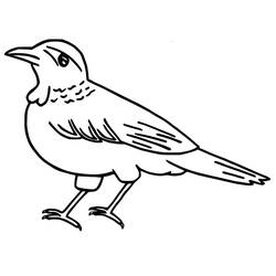 Raven (Animals) coloring page #209007 to print and color