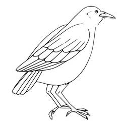 Raven (Animals) coloring page #209011 to print and color