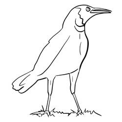 Raven (Animals) coloring page #209014 to print and color