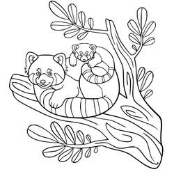 Red Panda (Animals) coloring page #212047 to print and color
