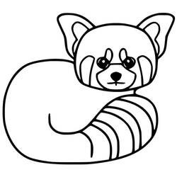 Red Panda (Animals) coloring page #212074 to print and color