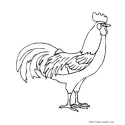 Coloring page: Rooster (Animals) #4088 - Printable coloring pages