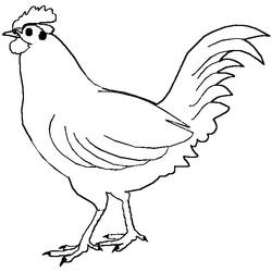 Coloring page: Rooster (Animals) #4089 - Printable coloring pages