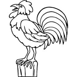 Coloring page: Rooster (Animals) #4100 - Printable coloring pages