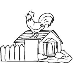 Coloring page: Rooster (Animals) #4146 - Printable coloring pages