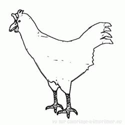Coloring page: Rooster (Animals) #4189 - Free Printable Coloring Pages