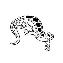 Coloring page: Salamander (Animals) #19891 - Printable coloring pages