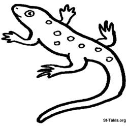 Coloring page: Salamander (Animals) #19911 - Printable coloring pages