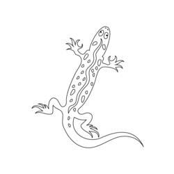 Coloring page: Salamander (Animals) #19946 - Printable coloring pages
